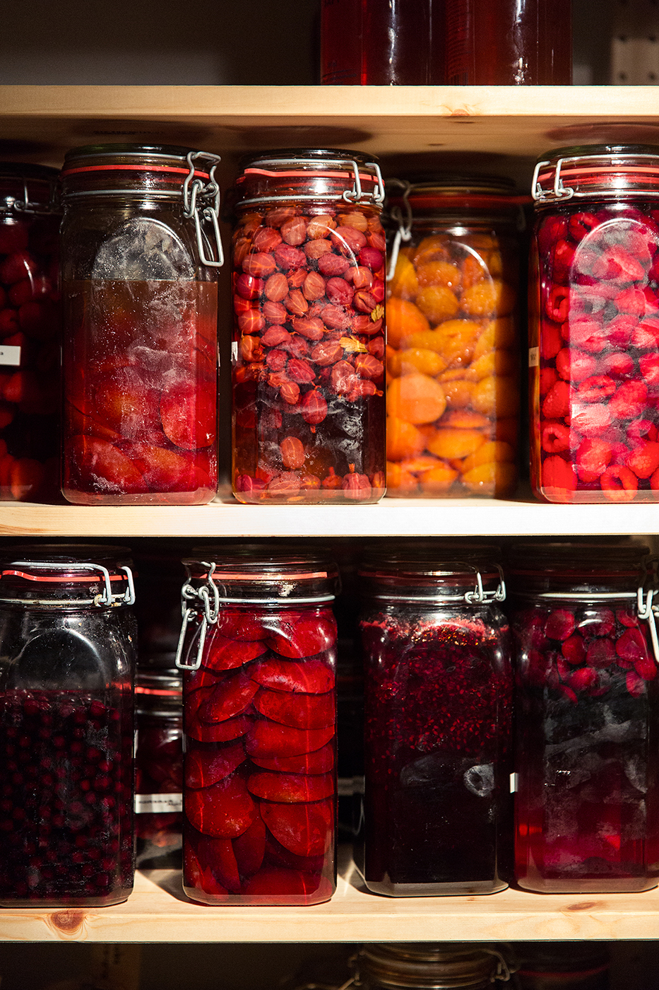 The Last Magazine Daniel Berlin