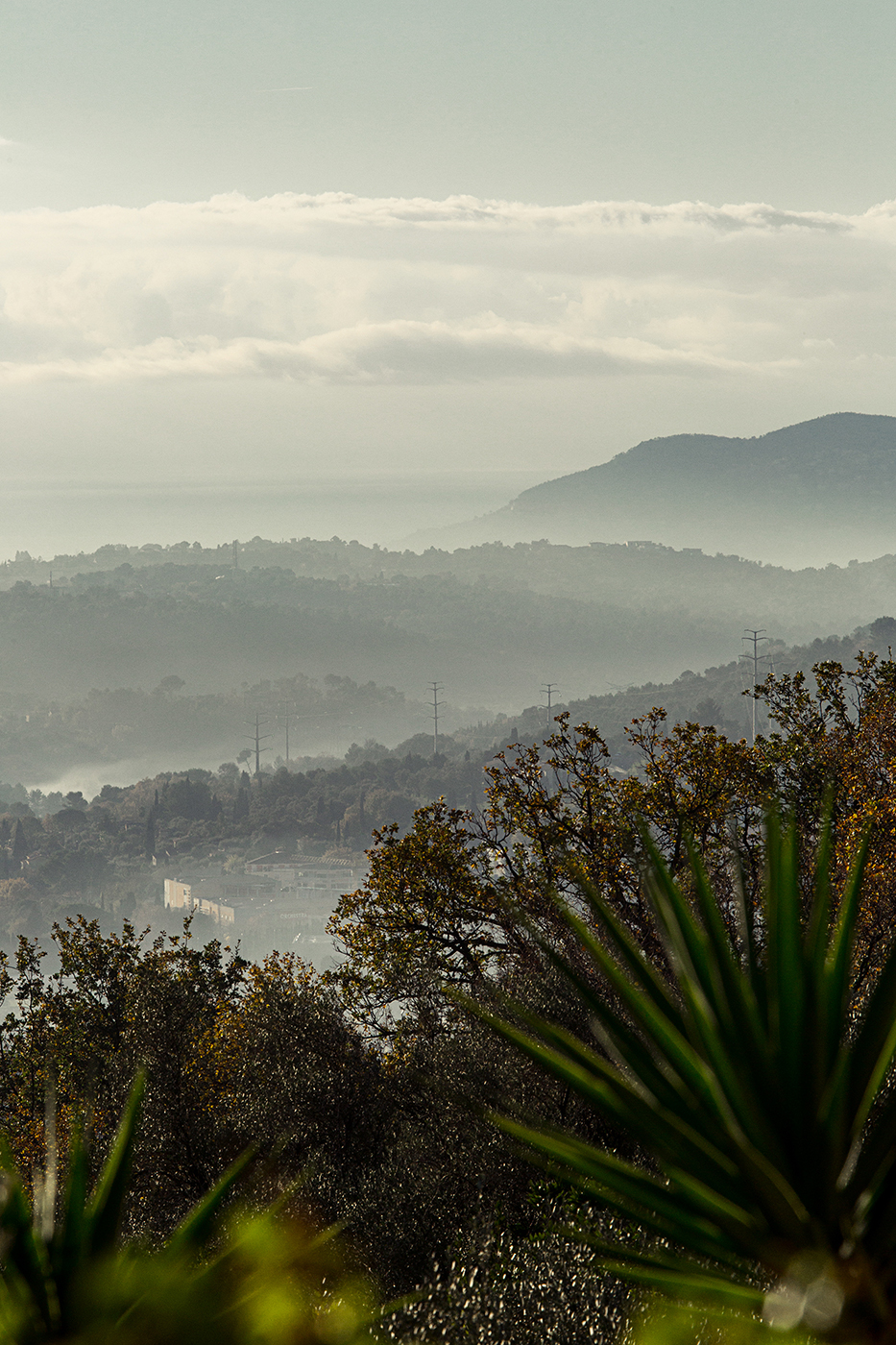 Detoxlife Sauvage Fanzine