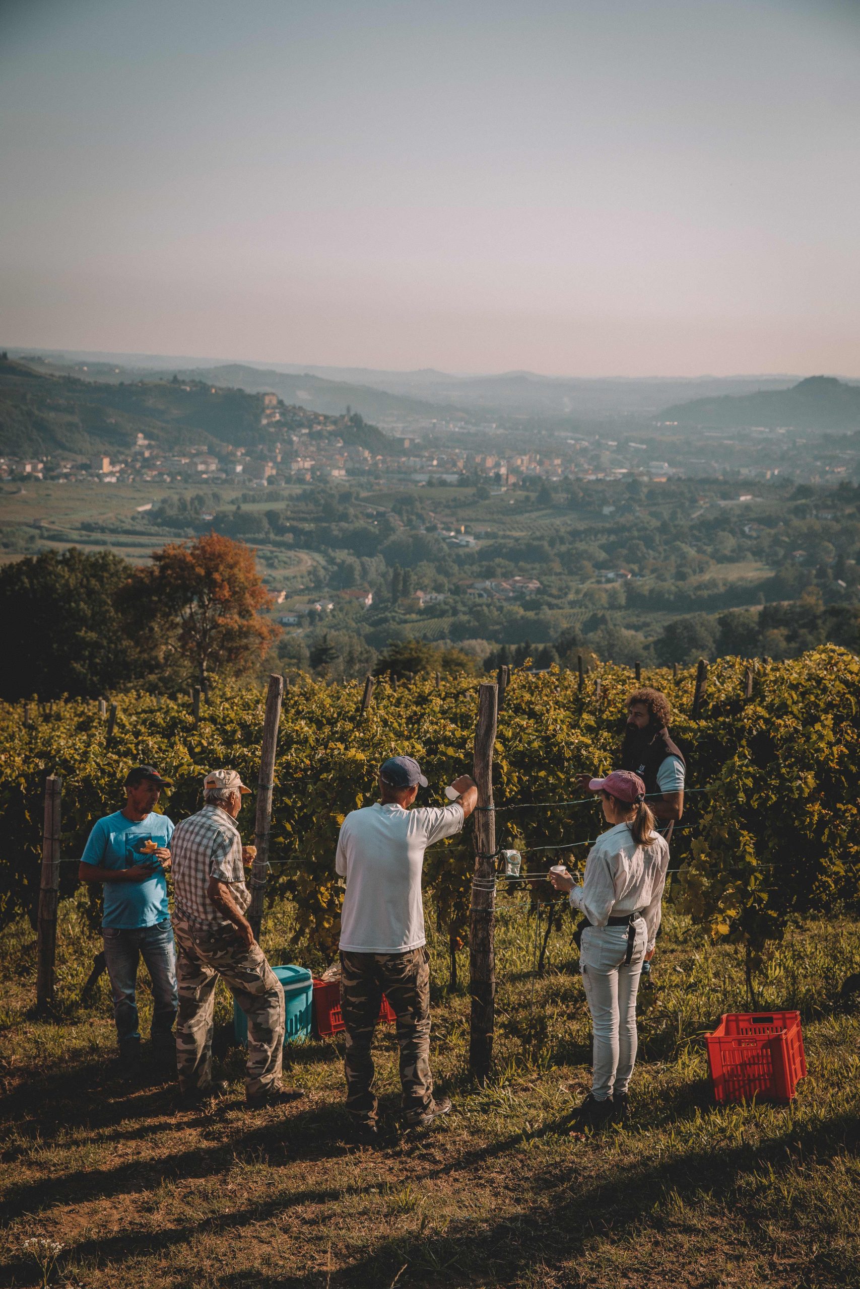 Marco Capra Winery - Piedmont Italy